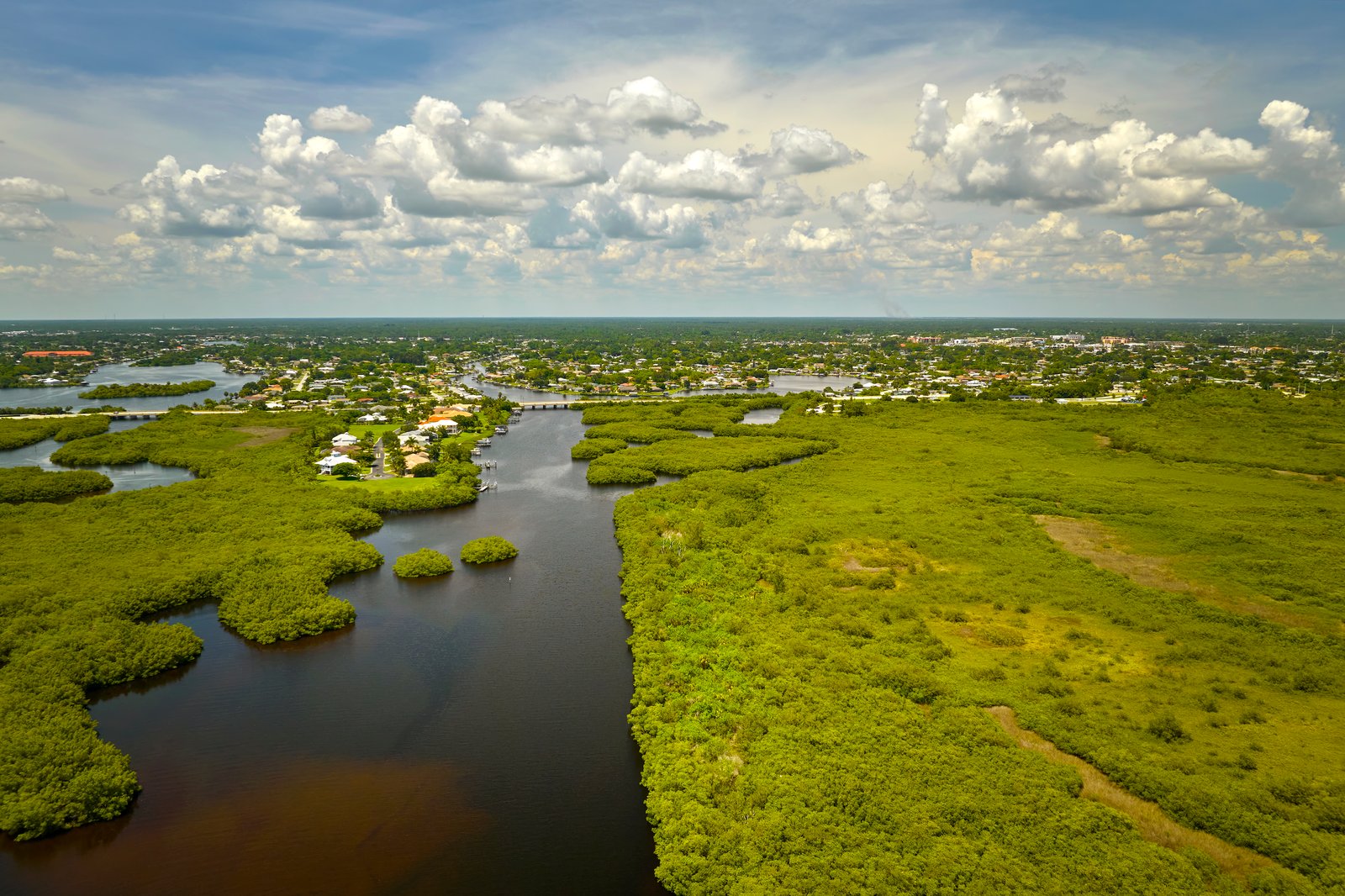 Florida landscape